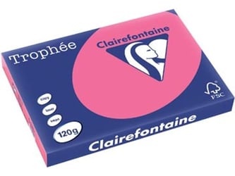 Papier CF A3 120g fuch/pk250v