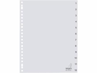 TABBLAD KANGARO G412CM A4 23R PP 12DLG 1-12 GRIJS artikel afbeelding
