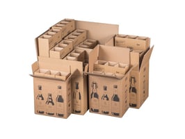 Smartbox Pro Verzenddoos voor bierfles 255x175x294mm, Dubbellaags, bruin (1 pak x 5 stuks)