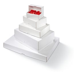 Speedbox 301x213x45mm, kleur wit artikel afbeelding