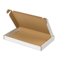 Brievenbusdoos A4 305x220x28mm (microgolfkarton) met bovenklep. Kleur: Wit