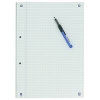 Cursusblok Oxford School A4 2-gaats ruit 5mm 100vel assorti