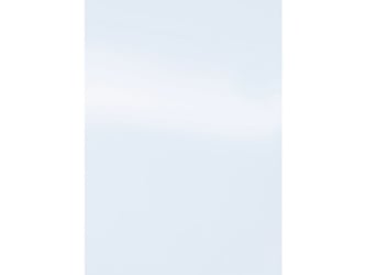 Schutblad BLP A4 glans wit/pk 100 artikel afbeelding