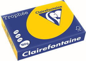 Papier CF A4 160g zon gl/pk250v