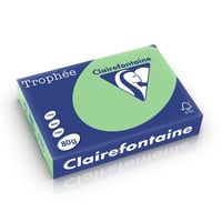 Papier CF A4 80g natuurgroen/pk500v