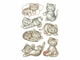 Etiket HERMA 3777 schattig poesje