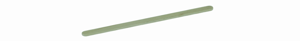 FSC® houten roerstaafje 160mm