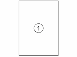 Etiket Quantore 210x297mm 100 stuks