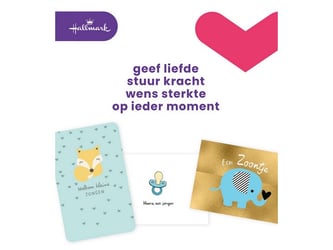 Wenskaart Hallmark zoon NL/pk6