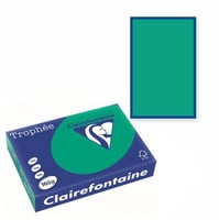 Clairefontaine Trophee kopieerpapier A3 420x297 160 g/m². Kleur: Dennengroen. Artikelcode: 1046 (Doos à 4 Pak à 250 Vel)