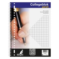 Collegeblok Kangaro A4 23R ruit 80v/pk5