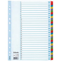Tabblad Esselte 11r A4 karton 31 tab