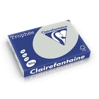 Papier CF A3 160g licht grijs/pk250v