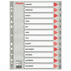Tabblad Esselte 11r A4 PP jan-dec grijs