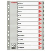 Tabblad Esselte 11r A4 PP jan-dec grijs