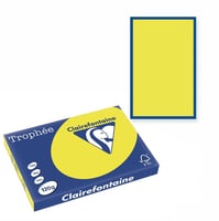 Clairefontaine Trophee kopieerpapier A3 420x297 120 g/m². Kleur: Zonnegeel. Artikelcode: 1382 (Doos à 5 Pak à 250 Vel)
