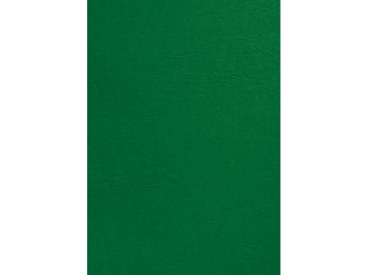 VOORBLAD GBC A4 KARTON LEDERLOOK 250GR GROEN artikel afbeelding