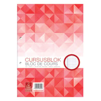 Cursusblok Work A4 ruit 70g