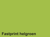 KOPIEERPAPIER FASTPRINT A4 120GR HELGROEN  artikel afbeelding