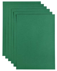 Kopieerpapier Papicolor A4 200gr 6vel dennengroen artikel afbeelding