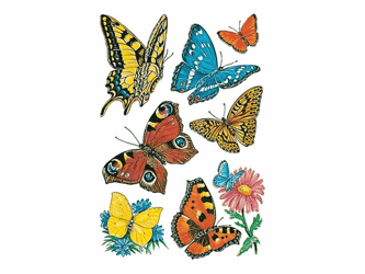 ETIKET HERMA 3801 VLINDER artikel afbeelding